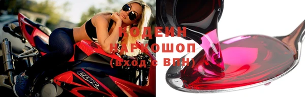 шишки Инта