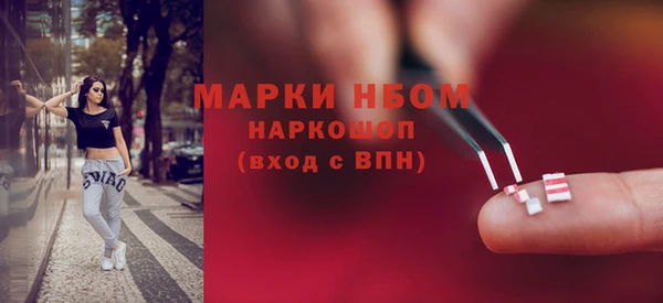 шишки Инта