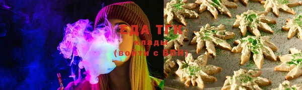 шишки Инта