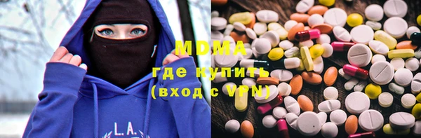 шишки Инта