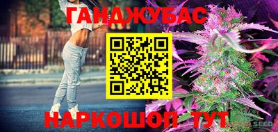 трава Гатчина