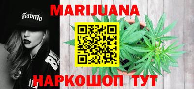 трава Гатчина