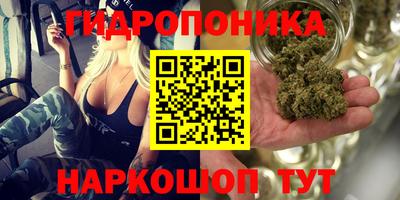 MESCALINE Гай