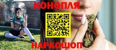 трава Гатчина