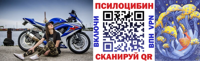 OMG   Дербент  Псилоцибиновые грибы ЛСД 