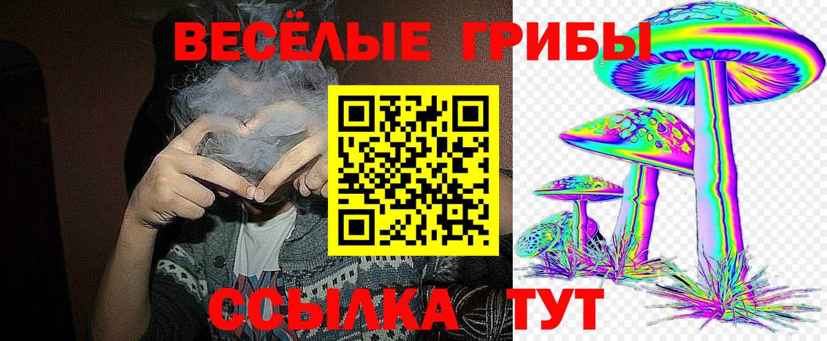 Галлюциногенные грибы Psilocybine cubensis Дербент