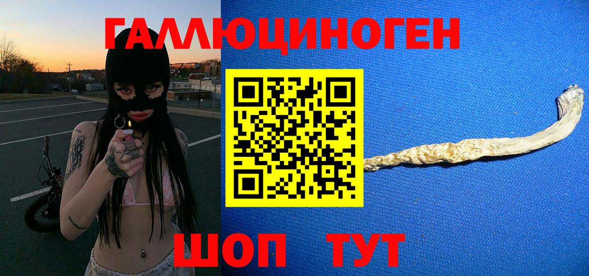 Псилоцибиновые грибы Psilocybine cubensis  Вход с VPN  Дербент  Псилоцибиновые грибы Psilocybine cubensis 