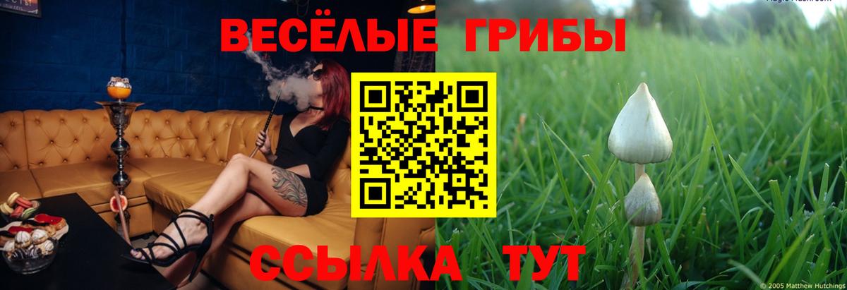  Кокаин Дербент