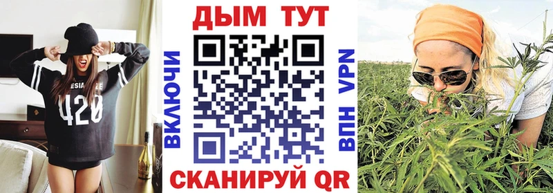 как найти   Дербент  Канабис индика 